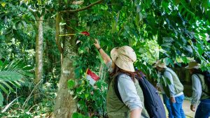 Pelita Air - Amazing Race di Bali